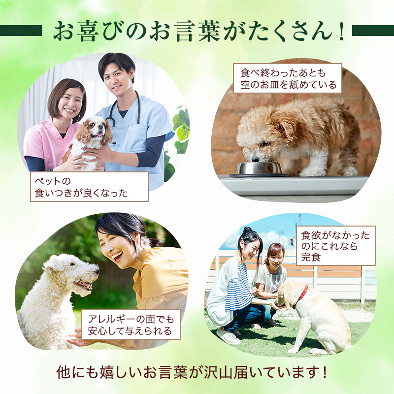 小諸産 KomoroPremium 鹿肉ウエットフード（総合栄養食）10袋（100g/袋） 
