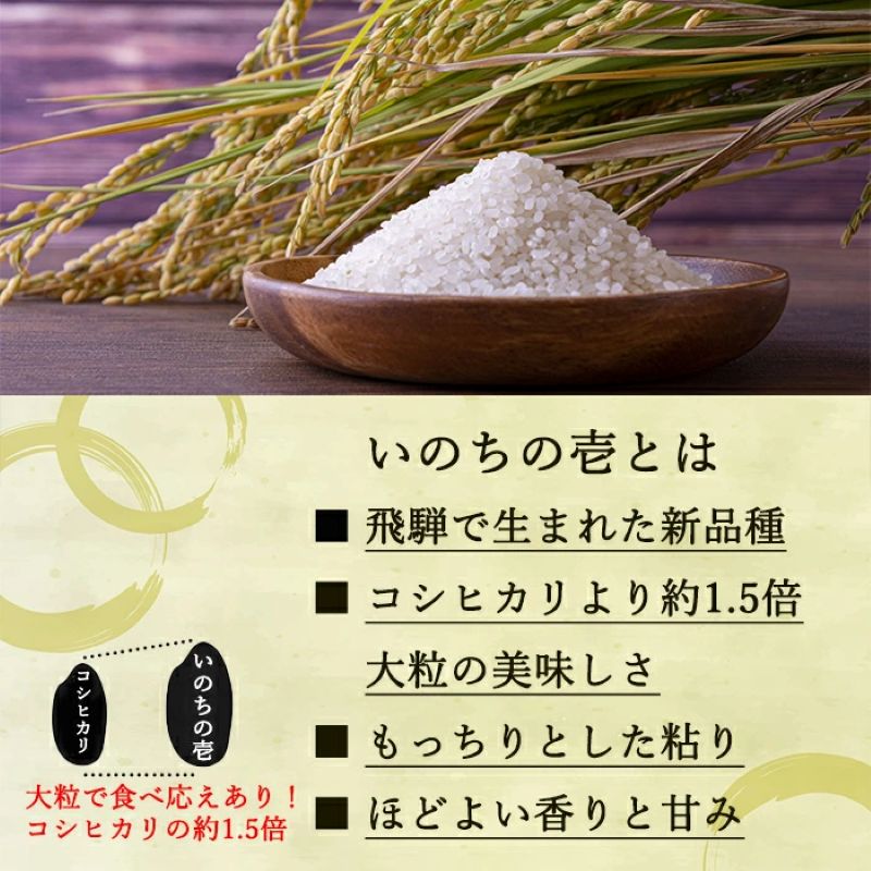令和8年産先行予約 ベストファーマーズ賞受賞 いのちの壱 白米 2kg 無農薬 令和7年産 米 お米 チャック付 チャック 小分け  産地直送 長野