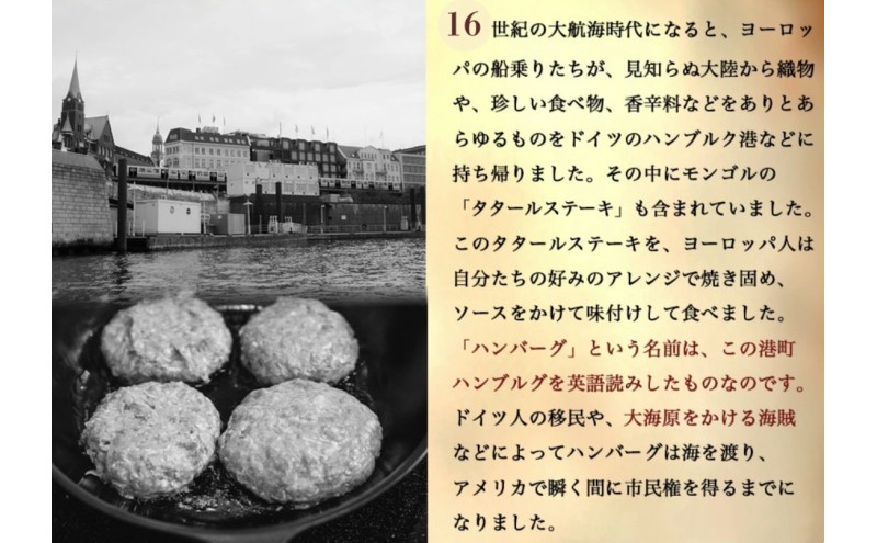 お食事券 【サーロインステーキコース 1名様分】 ステーキレストランHishiya海賊船 長野 信州 グルメ チケット 食事 サーロイン ステーキ レストラン 券