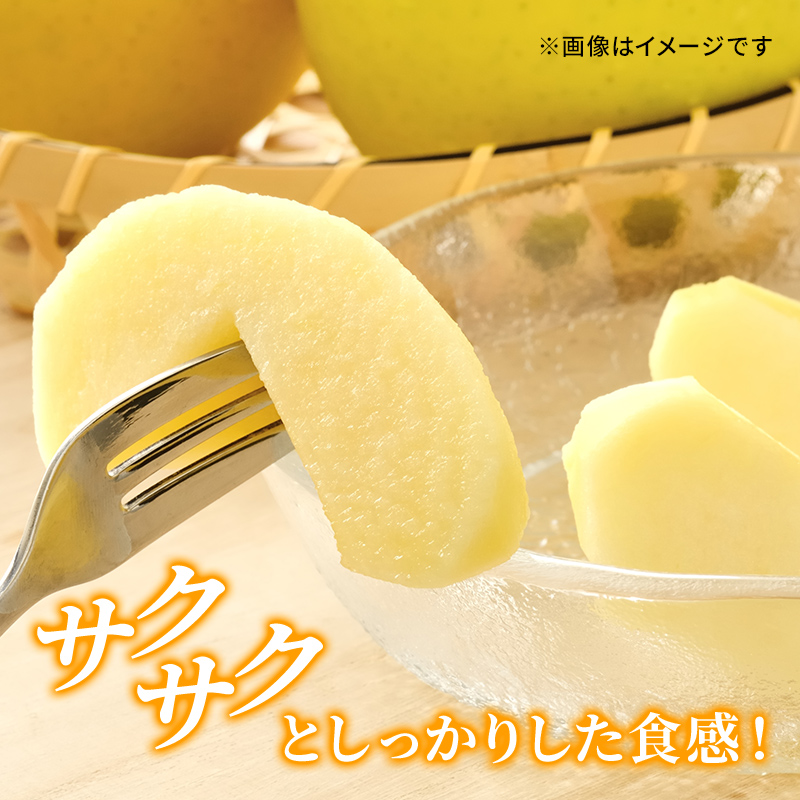 【2026年10月下旬～発送予定】 先行予約 シナノゴールド 秀品 約5kg 16～20玉入 長野県産 果物類 林檎 りんご リンゴ フルーツ 小諸市