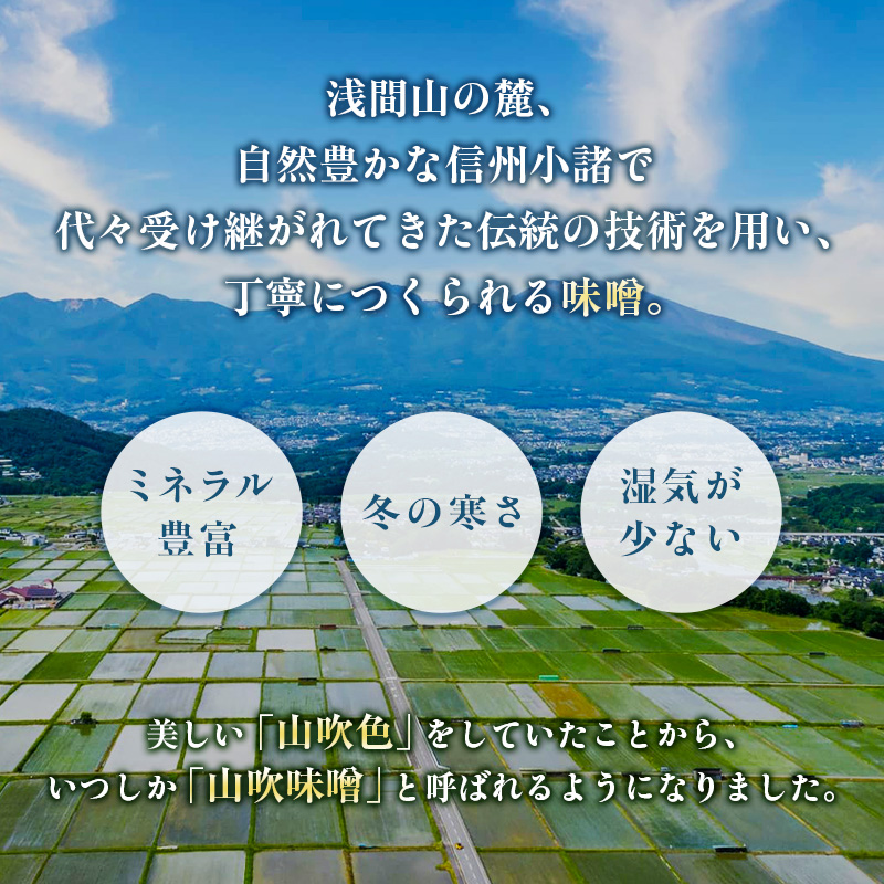 9月30日掲載終了 味噌 山吹味噌 コクとかおり 500g×6 セット 信州味噌 みそ ミソ 熟成 信州 信州みそ 無添加  調味料 小分け 長野県 長野 