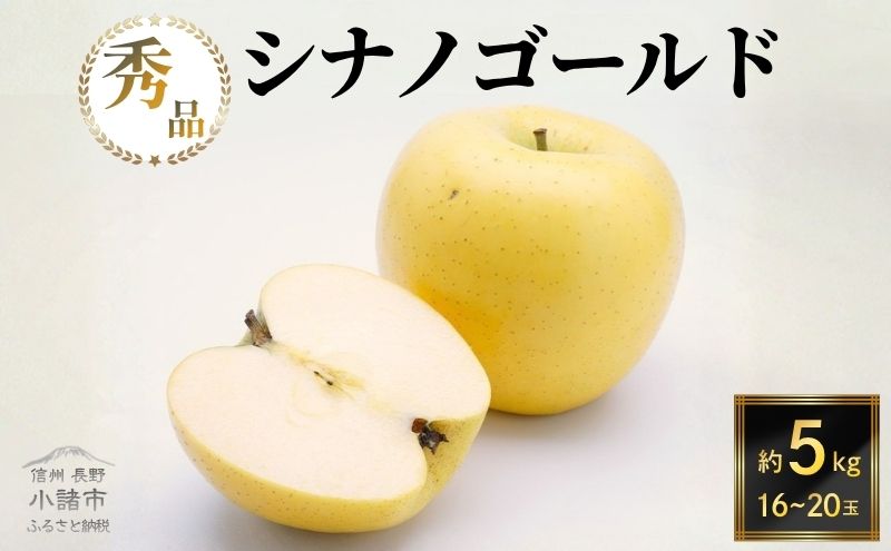 【2026年10月下旬～発送予定】 先行予約 シナノゴールド 秀品 約5kg 16～20玉入 長野県産 果物類 林檎 りんご リンゴ フルーツ 小諸市