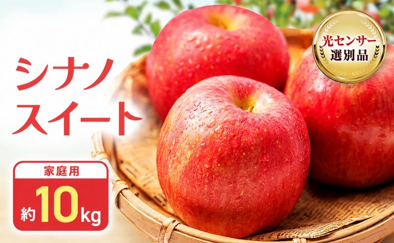【2026年10月中旬～発送予定】 先行予約 訳あり りんご シナノスイート 約10kg 24～40玉入 家庭用 フルーツ 果物 甘い 訳あり おいしい 林檎