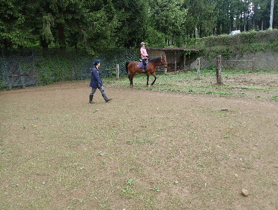 乗馬 体験 まきば軽井沢 5級乗馬ライセンス取得コース 体験チケット 
