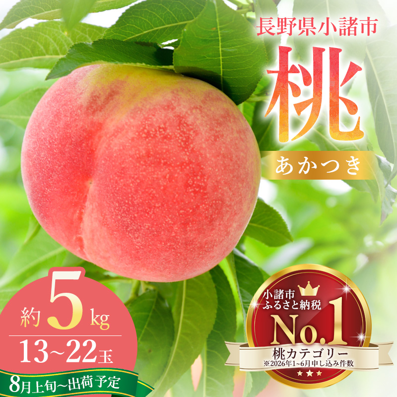 【2026年8月上旬～発送予定】桃 先行予約 浅間水蜜桃 あかつき 約5kg 秀品 13～22玉 贈答品 フルーツ 果物 白桃 白鳳 甘い 冷蔵