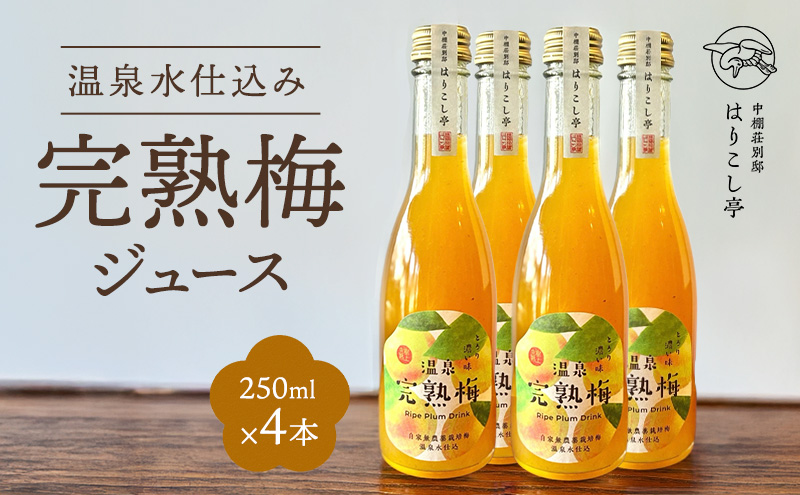 梅ジュース　250ml×4本　中棚温泉　長野　信州　小諸