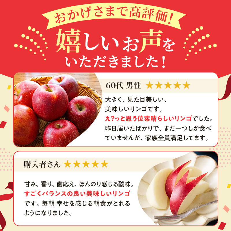 【2026年10月中旬～発送予定】 先行予約 訳あり りんご シナノスイート 約10kg 24～40玉入 家庭用 フルーツ 果物 甘い 訳あり おいしい 林檎