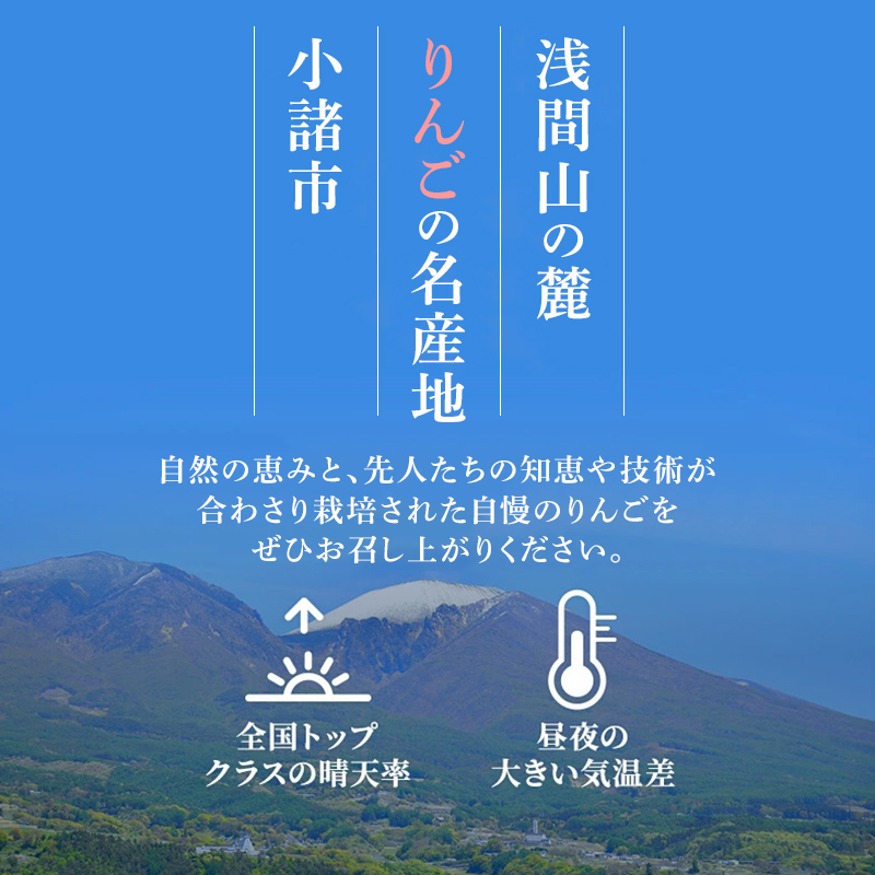【2026年10月下旬～発送予定】 先行予約 シナノゴールド 秀品 約5kg 16～20玉入 長野県産 果物類 林檎 りんご リンゴ フルーツ 小諸市