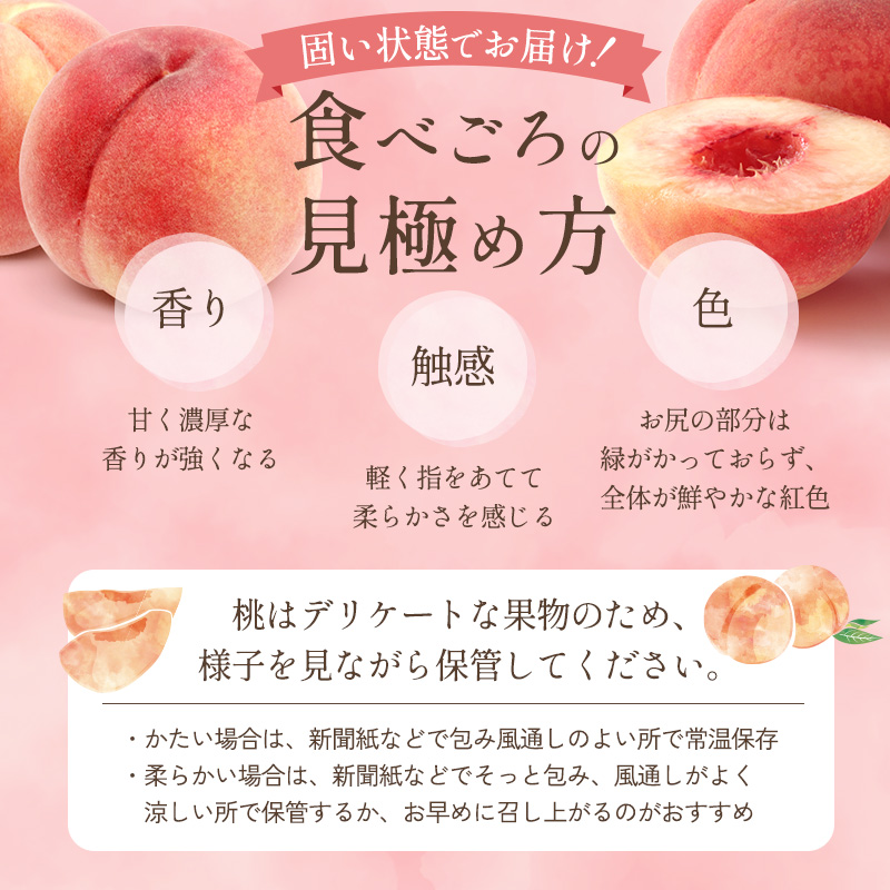 【オンライン決済限定】【2026年8月中旬～発送予定】 先行予約 「浅間水蜜桃プレミアム」 もも 川中島白桃 秀品 約2kg 5～9玉 贈答品 ふるさと納税 果物 フルーツ モモ 果肉 デザート 酸味少なめ 硬め 長野県産 小諸市