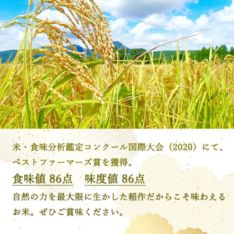 令和8年産先行予約 ベストファーマーズ賞受賞 いのちの壱 白米 5kg 無農薬 令和7年産 米 お米 チャック付 チャック 小分け  産地直送 長野