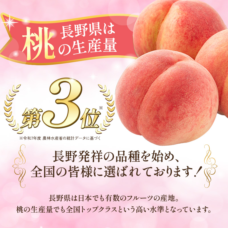 【2026年8月中旬～発送予定】 桃 先行予約 浅間水蜜桃 なつっこ 約5kg 秀品 13～22玉 贈答品 フルーツ 果物 白桃 甘い 冷蔵