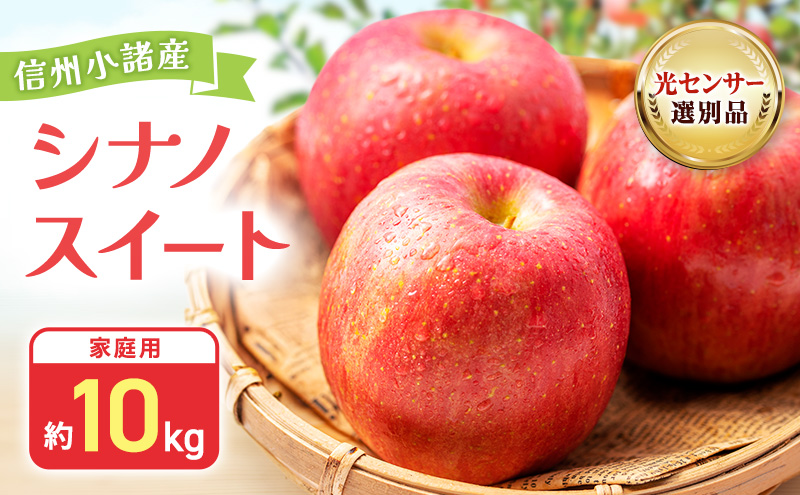 【2026年10月中旬～発送予定】 先行予約 訳あり りんご シナノスイート 約10kg 24～40玉入 家庭用 フルーツ 果物 甘い 訳あり おいしい 林檎