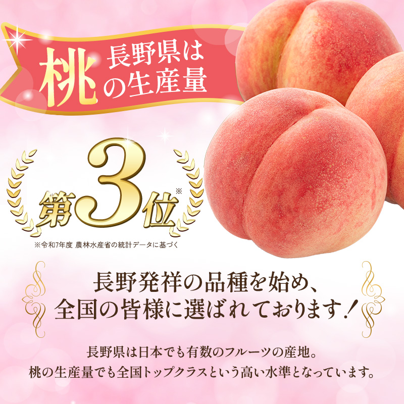 【オンライン決済限定】【2026年8月中旬～発送予定】 先行予約 「浅間水蜜桃プレミアム」 もも 川中島白桃 秀品 約2kg 5～9玉 贈答品 ふるさと納税 果物 フルーツ モモ 果肉 デザート 酸味少なめ 硬め 長野県産 小諸市