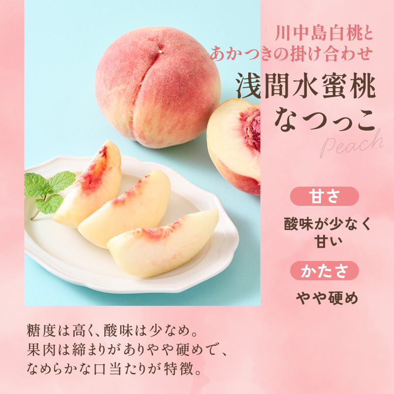 【2026年8月中旬～発送予定】 桃 先行予約 浅間水蜜桃 なつっこ 約5kg 秀品 13～22玉 贈答品 フルーツ 果物 白桃 甘い 冷蔵