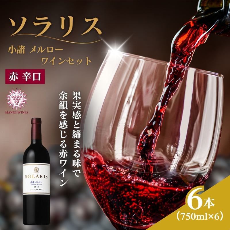 ワイン 信州ワイン 赤 ソラリス 小諸 メルロー ワインセット 750ml×6本 マンズワイン 酒 お酒 洋酒 果実酒 ぶどう酒 長野 長野県 小諸市