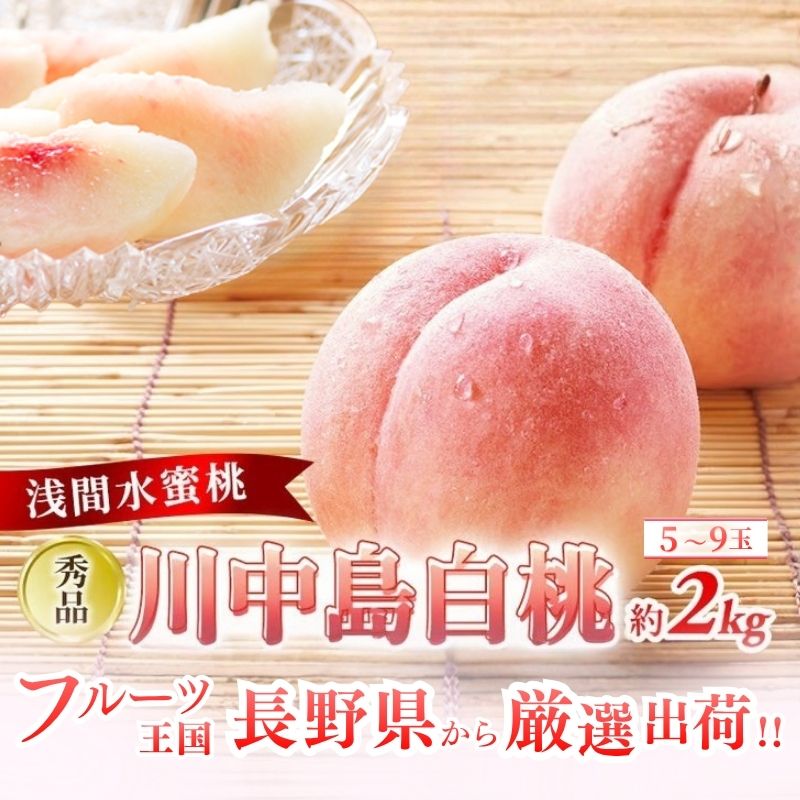 【オンライン決済限定】【2026年8月中旬～発送予定】 先行予約 「浅間水蜜桃プレミアム」 もも 川中島白桃 秀品 約2kg 5～9玉 贈答品 ふるさと納税 果物 フルーツ モモ 果肉 デザート 酸味少なめ 硬め 長野県産 小諸市