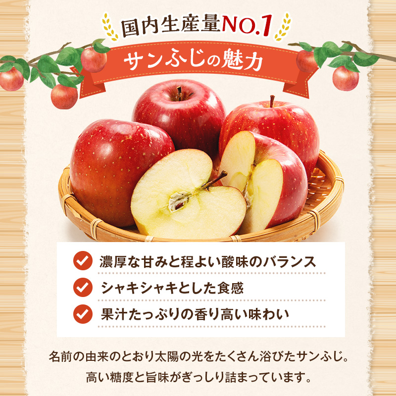 【2026年11月下旬～発送予定】先行予約 訳あり りんご サンふじ 約10kg 24～40玉入 家庭用 フルーツ 果物 甘い おいしい 林檎 リンゴ