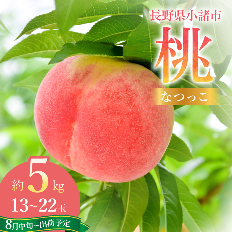 【2026年8月中旬～発送予定】 桃 先行予約 浅間水蜜桃 なつっこ 約5kg 秀品 13～22玉 贈答品 フルーツ 果物 白桃 甘い 冷蔵