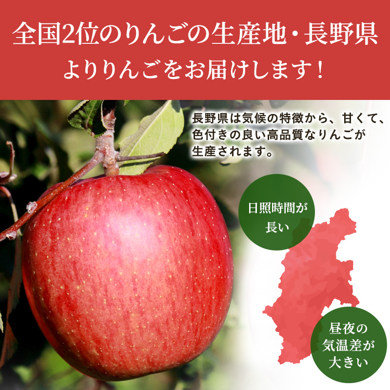 りんご 家庭用 サンふじ 約3.5kg フルーツ 果物 甘い 林檎