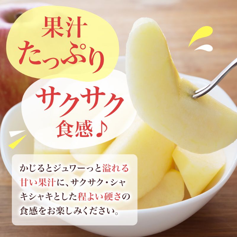 【2026年10月中旬～発送予定】 先行予約 訳あり りんご シナノスイート 約10kg 24～40玉入 家庭用 フルーツ 果物 甘い 訳あり おいしい 林檎