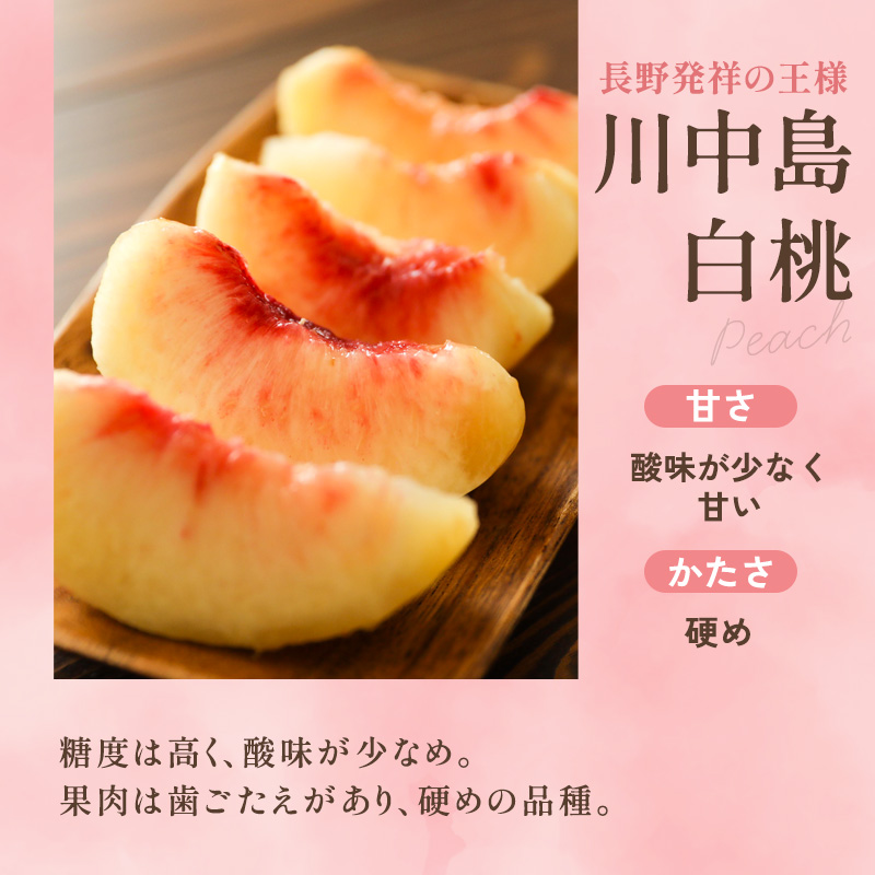 【2026年8月中旬～発送予定】桃 先行予約 浅間水蜜桃 川中島白桃 約5kg 秀品 13～22玉 贈答品 フルーツ 果物 白桃 甘い 冷蔵