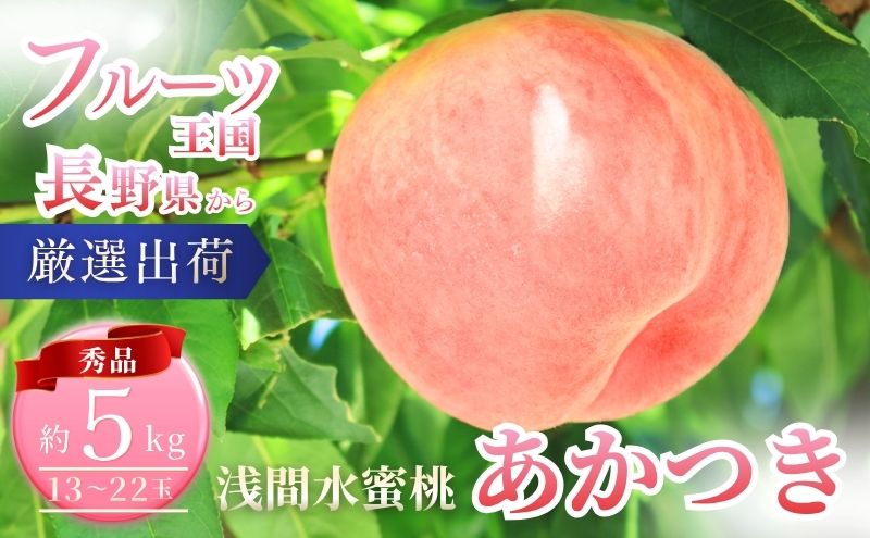 【2026年8月上旬～発送予定】桃 先行予約 浅間水蜜桃 あかつき 約5kg 秀品 13～22玉 贈答品 フルーツ 果物 白桃 白鳳 甘い 冷蔵