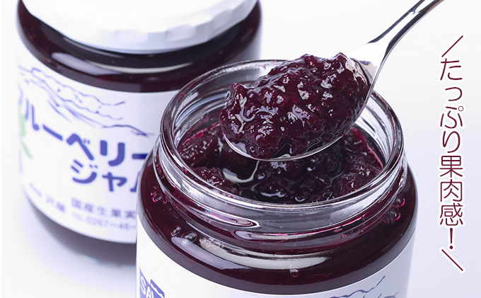 ジャム 果実使用 125g 5本 セット 信州小諸産 ブルーベリー プルーン 白桃 りんご 長野 加工品 フルーツ 果物 