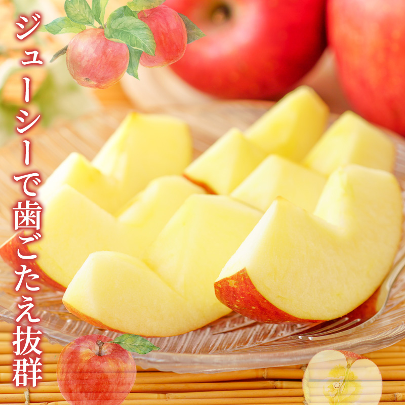 りんご 家庭用 サンふじ 約3.5kg フルーツ 果物 甘い 林檎