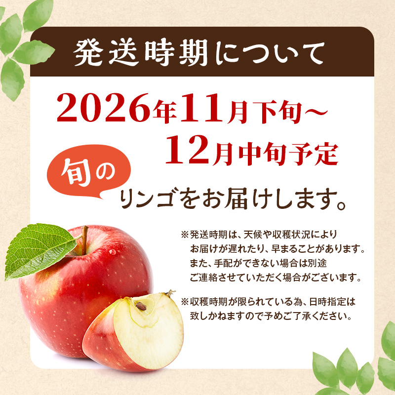 【2026年11月下旬～発送予定】 先行予約 訳あり りんご サンふじ 小玉 約10kg フルーツ 果物 林檎 甘い 訳あり