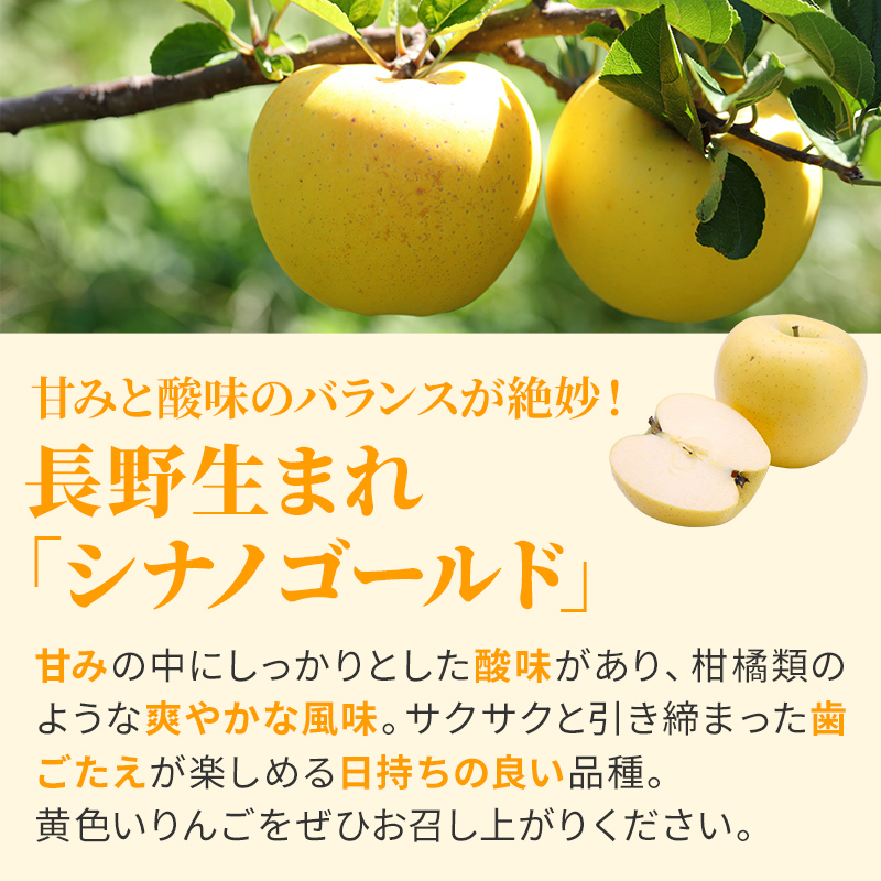 【2026年10月下旬～発送予定】 先行予約 シナノゴールド 秀品 約5kg 16～20玉入 長野県産 果物類 林檎 りんご リンゴ フルーツ 小諸市