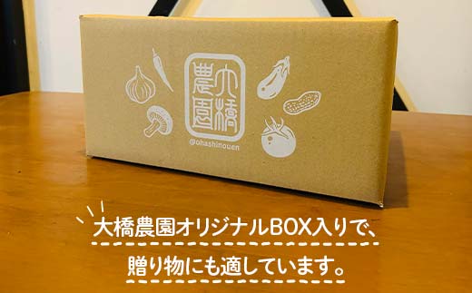 【2027年夏発送予約】生で食べられる白い宝石 中津川産プレミアム 純白とうもろこし おおもの白 4kgセット 朝採り 即日冷蔵発送 数量限定 F4N-2369