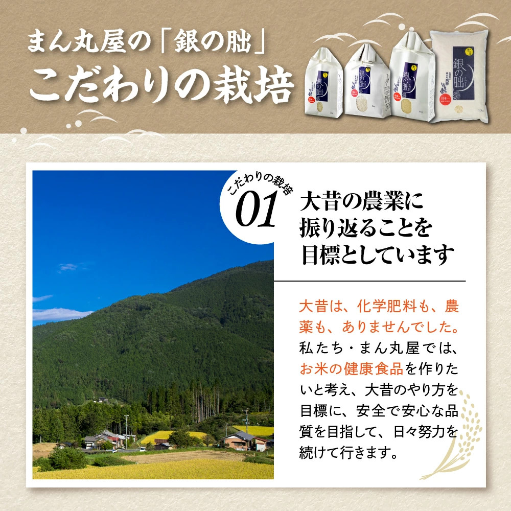 ＜テレビで紹介されました！＞令和8年産 新米 【全3回定期便】皇室献上米『銀の朏』5kg 中津川市加子母産 栽培期間中化学肥料不使用 お米 精米 F4N-2904