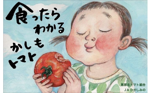 食べて実感 濃い味かしもトマト約4kg 東美濃農業協同組合【期間限定　選果場直送！】 F4N-1961