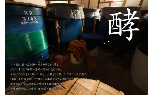 清酒 「鯨波」 大吟醸・純米吟醸・純米セット F4N-2653
