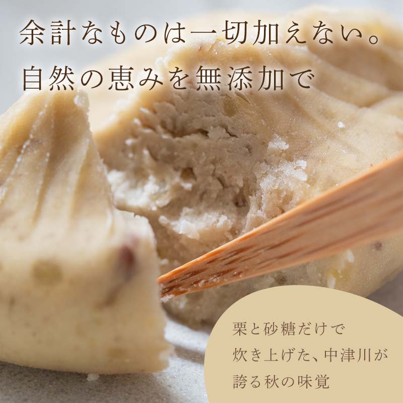 【10月お届け】 御菓子所 川上屋 栗きんとん （秋季限定）20個入り F4N-1701