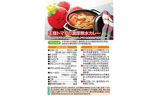 赤熟もぎりのひがしみの王様トマト約4kg 東美濃農業協同組合【期間限定　選果場直送！】 F4N-1962