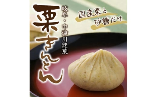 栗菓子処やまつ 栗きんとん300g×2（冷凍） F4N-2354