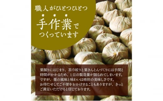 中津川銘菓：栗きんとん12個（6個入×2箱）[秋季限定]【10月お届け】 F4N-2304
