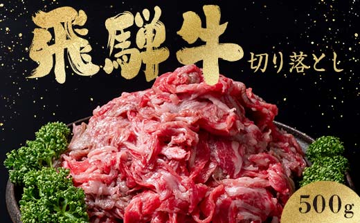 「肉の芸術品」飛騨牛切り落とし（モモ、肩、バラ）500g（250g×2）【用途は様々！焼肉、BBQ、すき焼き、煮物、牛丼、炒め物など】 F4N-2857