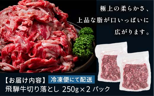 「肉の芸術品」飛騨牛切り落とし（モモ、肩、バラ）500g（250g×2）【用途は様々！焼肉、BBQ、すき焼き、煮物、牛丼、炒め物など】 F4N-2857