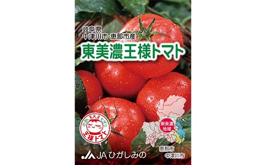 赤熟もぎりのひがしみの王様トマト約4kg 東美濃農業協同組合【期間限定　選果場直送！】 F4N-1962