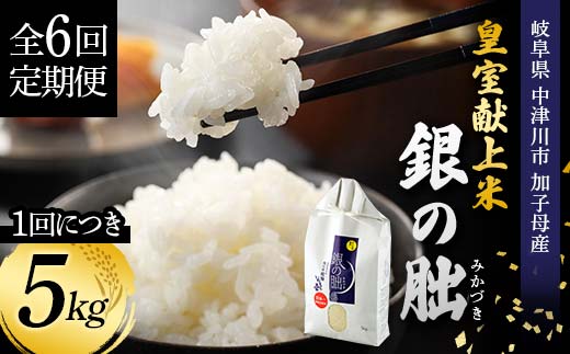 ＜テレビで紹介されました！＞令和8年産 新米【全6回定期便】皇室献上米『銀の朏』5kg 中津川市加子母産 栽培期間中化学肥料不使用 お米 精米 F4N-2892