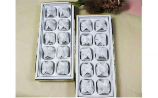 人気商品!! 中津川銘菓：栗きんとん20個（10個入×2箱）[秋季限定]【9月お届け】 F4N-2876