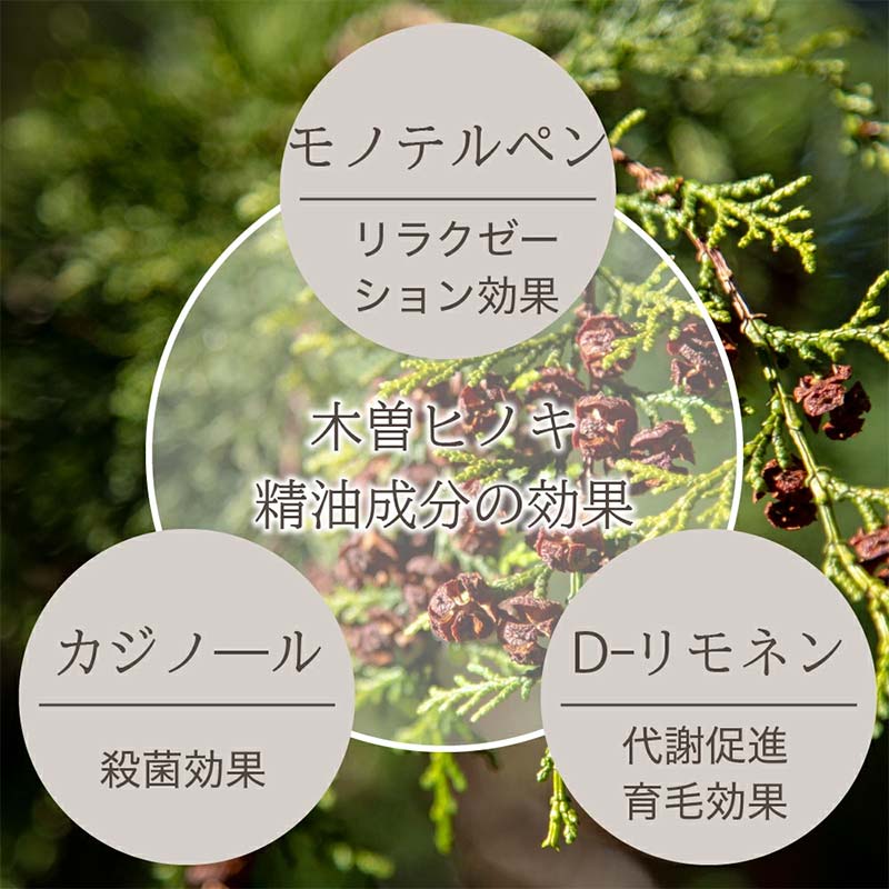 meet tree バスセット集中ケアセット 石鹸 ソープ 美容 F4N-2898