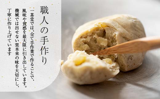 新栗 和菓子処一茶堂 栗きんとん 10個入り F4N-0831