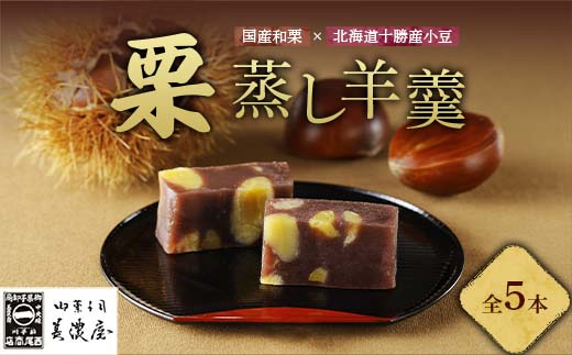 【中津川銘菓】【栗の銘菓】御菓子司美濃屋 栗蒸し羊羹 2本入り（1箱）+3本入り（1箱） 国内特選栗使用 中津川銘菓 中津川 岐阜 和菓子 お茶菓子 お茶請け 羊羹 菓子 食品 F4N-1844