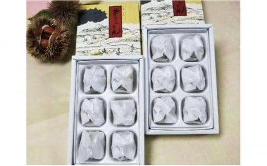 中津川銘菓：栗きんとん12個（6個入×2箱）[秋季限定]【9月お届け】 F4N-2303