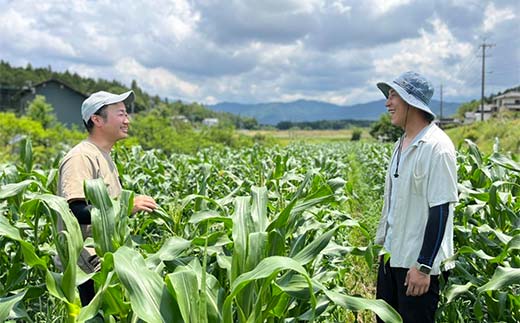 【2027年夏発送予約】生で食べられる白い宝石 中津川産プレミアム 純白とうもろこし おおもの白 4kgセット 朝採り 即日冷蔵発送 数量限定 F4N-2369