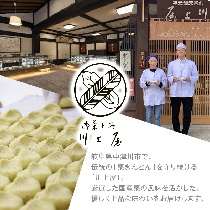 【2027年1月お届け】 御菓子所 川上屋 柿の美きんとん 10個入り F4N-1901