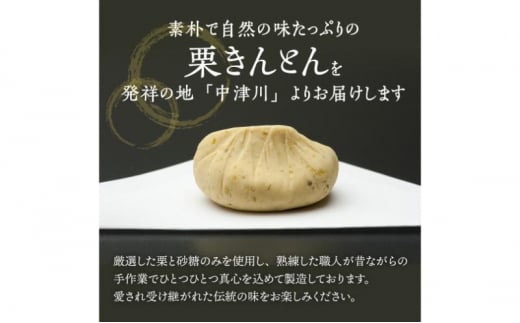 中津川銘菓：栗きんとん12個（6個入×2箱）[秋季限定]【9月お届け】 F4N-2303